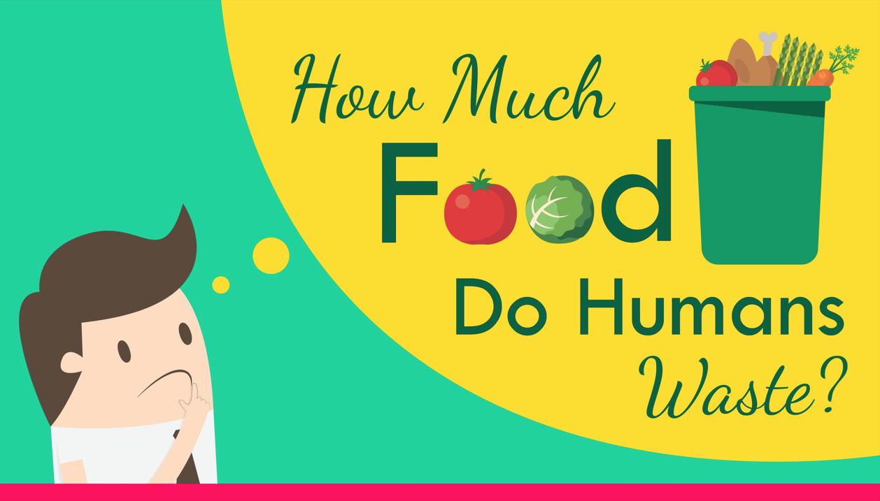 solving the food waste problem
