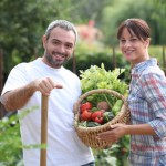 The best foods are freshly picked fruits and vegetables.