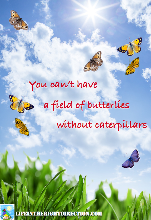 you can't have a field of butterflies without caterpillars