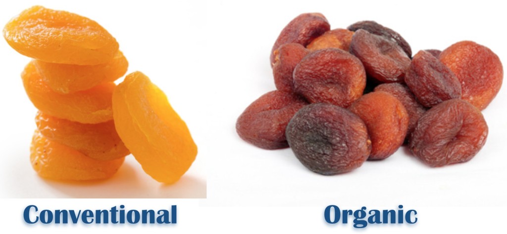 Organic Food - Dried apricot image