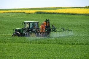 organic food - no monocultures, no pesticide