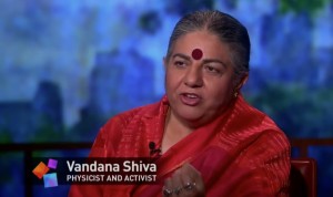 Vandana Shiva Interview on the Problem with Genetically-Modified Seeds