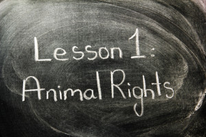 Animal Rights - vegan