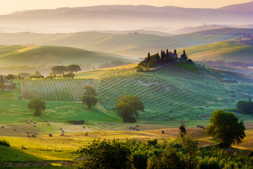 Organic food - Val d'Orcia, Toscana