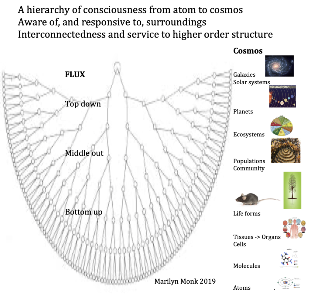 how science connects the world