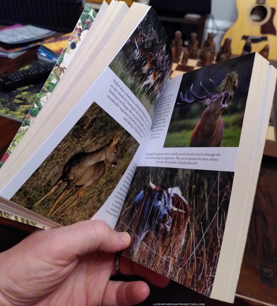 Wilding - some of the colour images inside the book